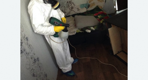 Обработка квартир от насекомых в Харовске