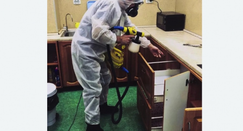 Дезинсекция квартиры. Харовск