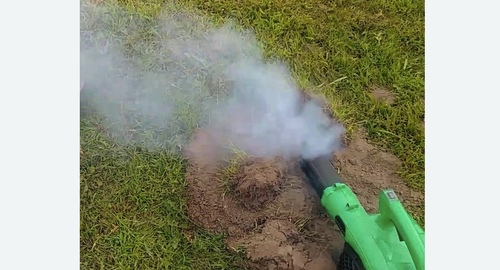 Обработка от кротов в Харовске