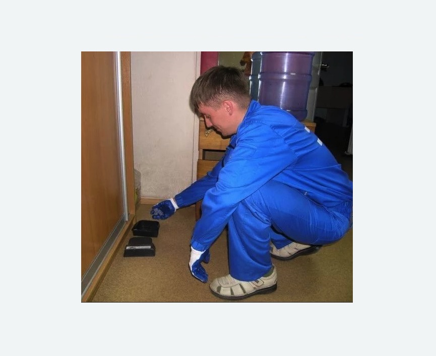 Дератизация крыс в Харовске