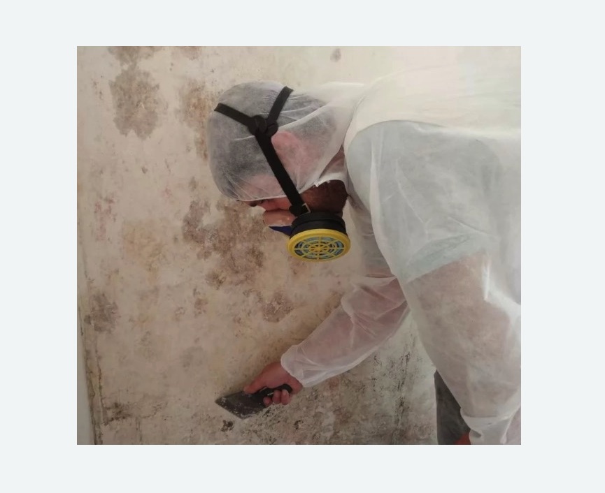 Обработка стен от плесени в Харовске