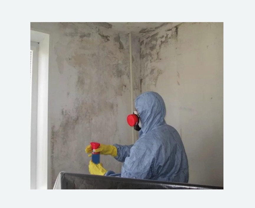 Удаление плесени в квартире в Харовске