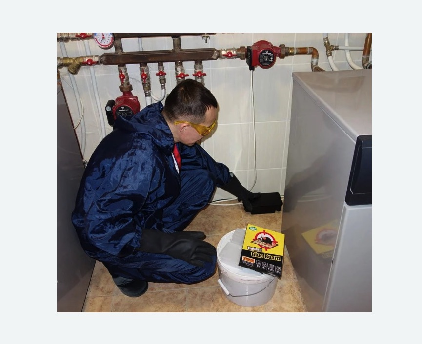 Уничтожение крыс в Харовске