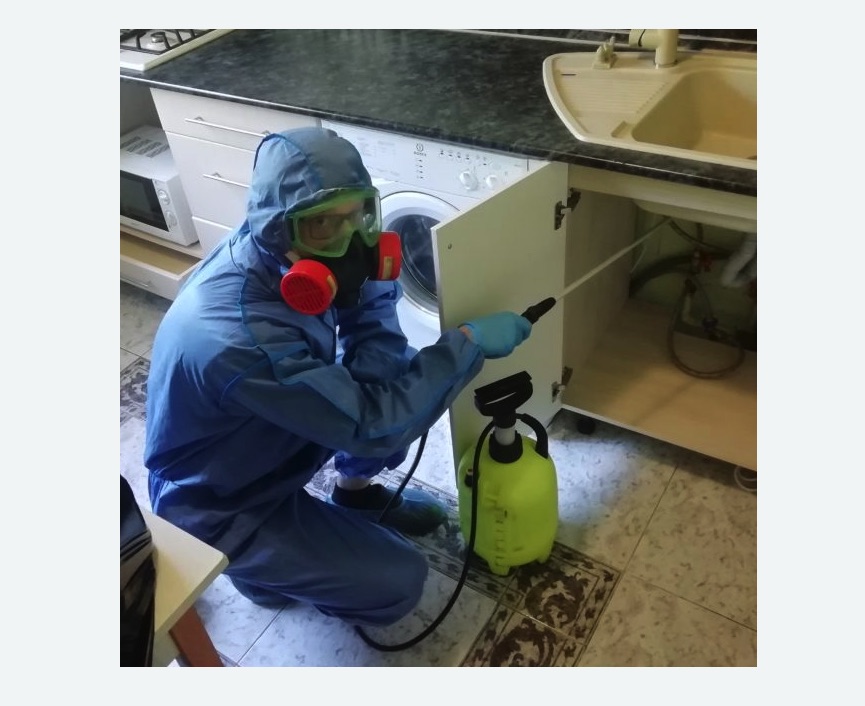 обработка от муравьев в квартире в Харовске