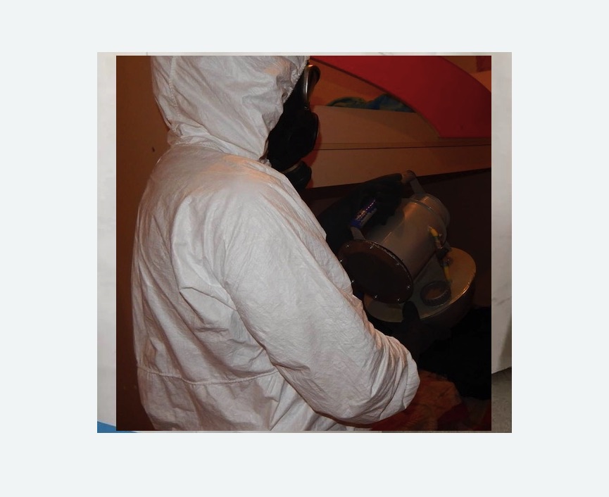 Дезинфекция от муравьев в Харовске